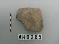 藏品(大型磨製石斧)的圖片